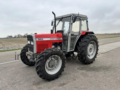 Massey Ferguson 365 recensioner och tekniska specifikationer